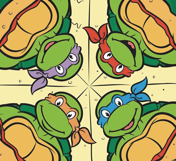 tmnt 4 turtles brothers